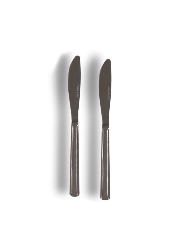 2 PACK STAINLESS STEEL KNIVES