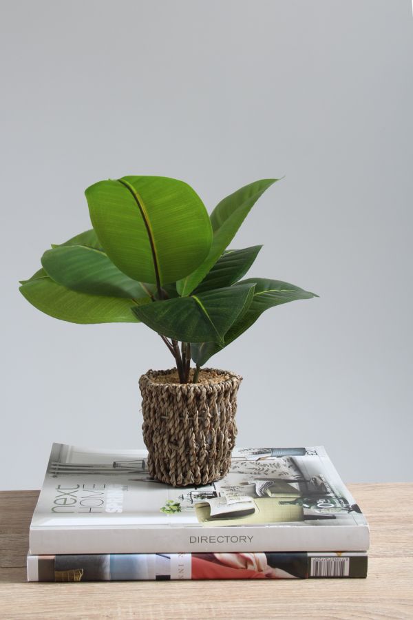 POTTED FAUX SEAGRASS PLANT