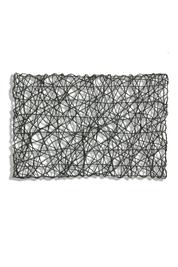CRAZYWEAVE PLACEMAT