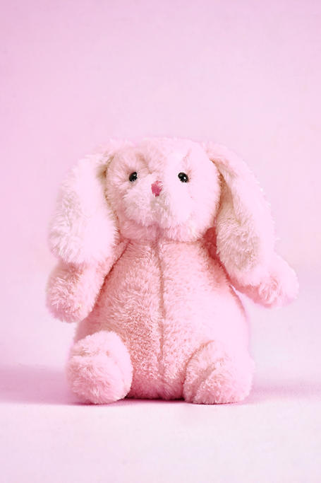 Fuzzy Bunny Teddybear