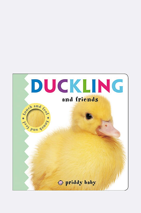 Touch + Feel: Duckling + Friends Board Book