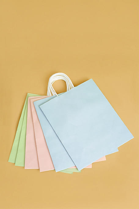 6-pack Gift Bags Medium