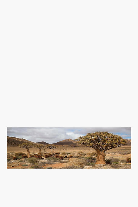 Desert Landscape Canvas, 45x135cm