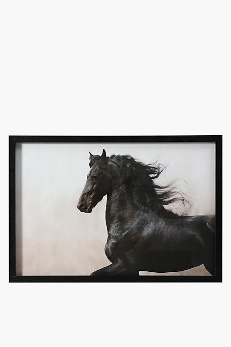 Framed Stallion, 40x60cm