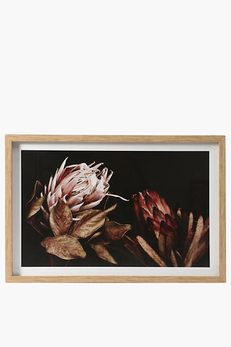 Framed Deep Protea, 40x60cm
