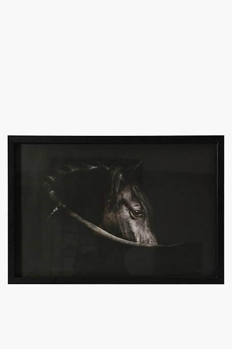 Framed Dark Horse, 40x60cm