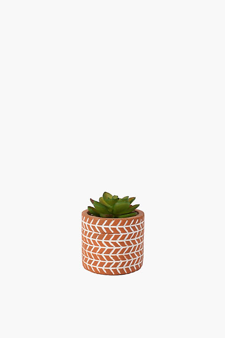 Terra Potted Mini Succulent, 8x10cm