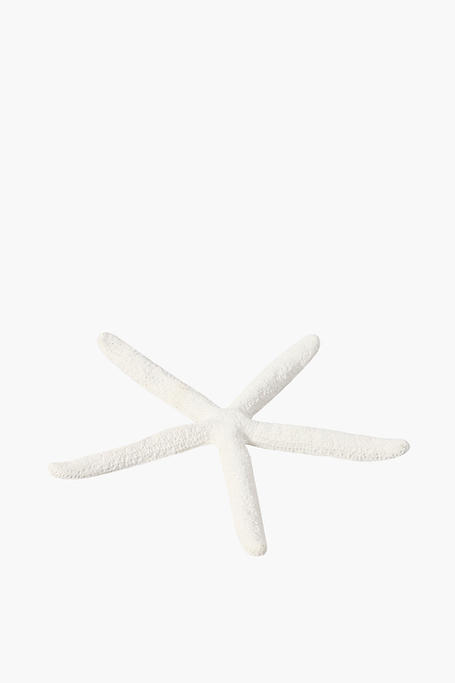 Resin Starfish Decor, 23x23cm