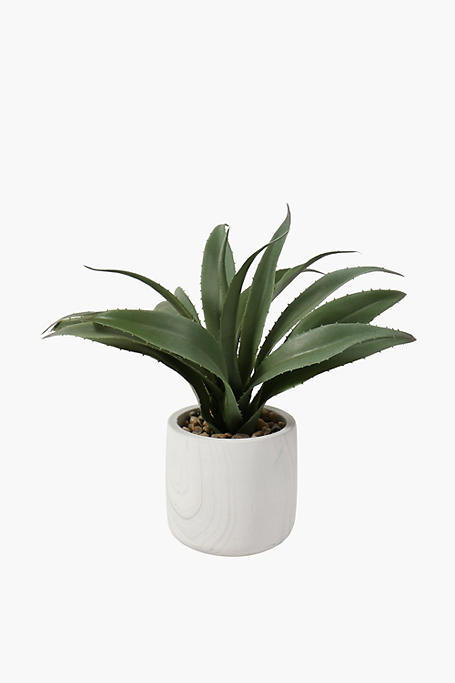 Marble Potted Frosted Aloe 26cm