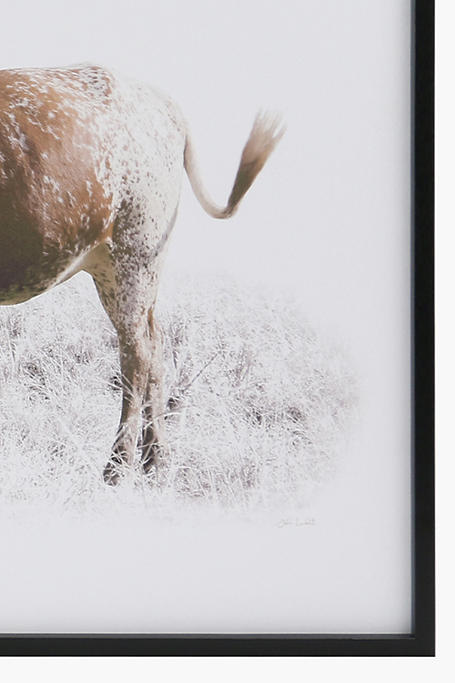 Nguni Calf Framed Canvas, 75x100cm
