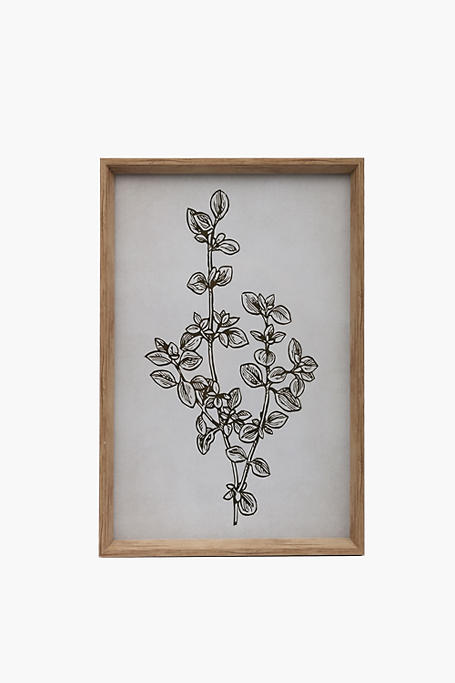 Framed Elae Leaf, 40x60cm