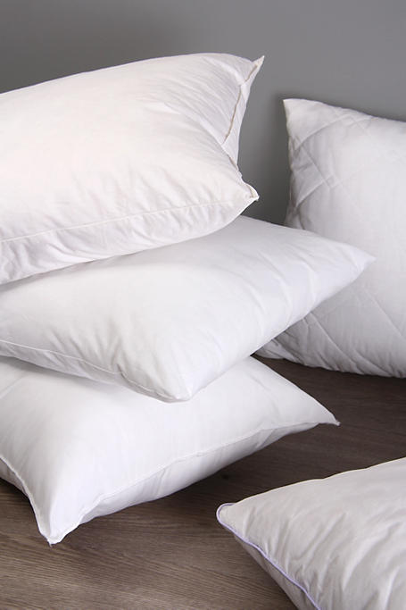 Percale Hollow Fibre Continental Pillow