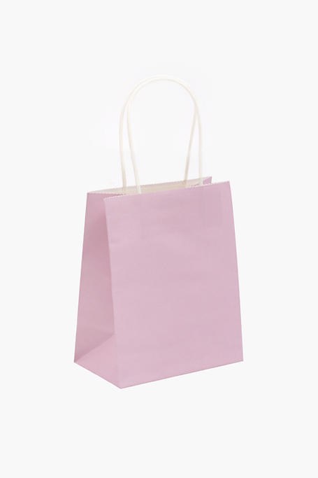 6 Pack Plain Gift Bags Small