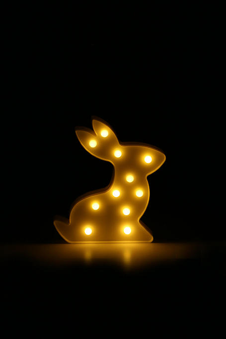 Led Light Bunny