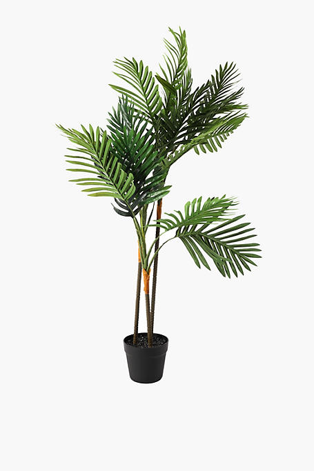 Potted Palm Tree Medium