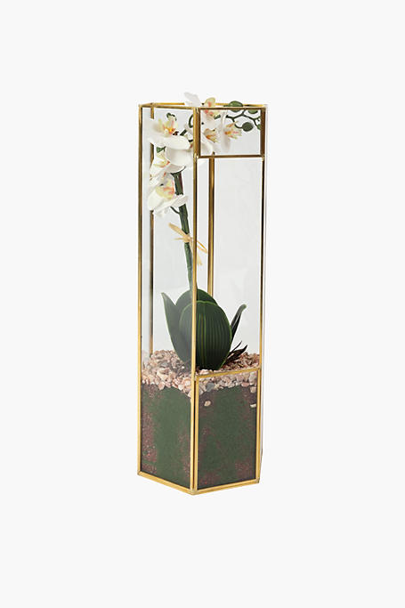 Glass Terrarium Orchid