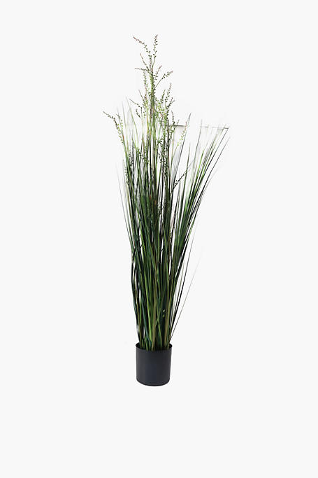 Potted Grass, Extra Large