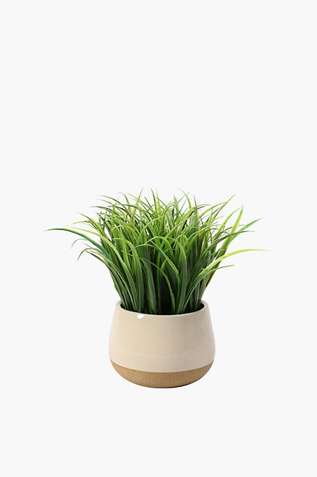 Crackle Potted Grass