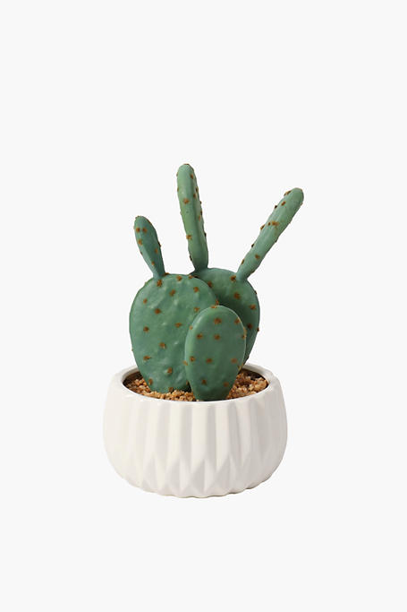 Cement Potted Cactus, 24cm
