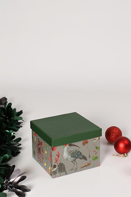 Colab Georgina Taylor Gift Box Small