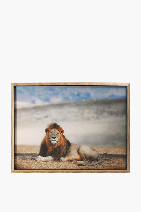 Lion Framed Canvas 90x120cm