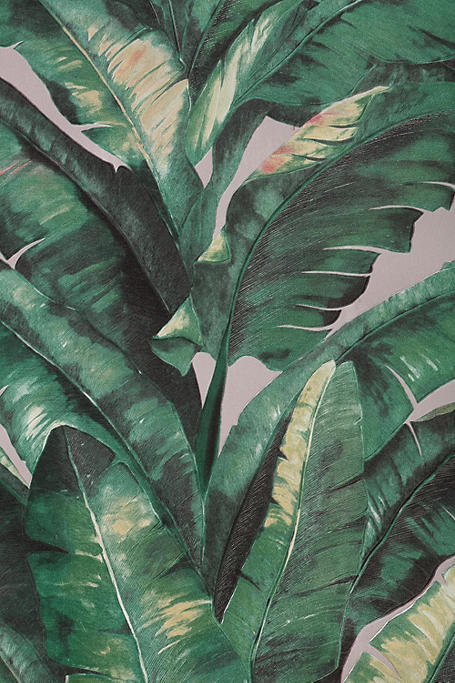 Tropical Leaf Wallpaper, 10mx53cm