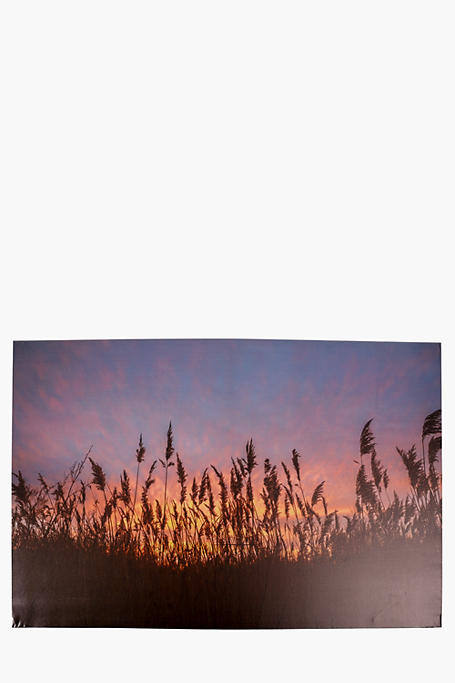 Sunset Pampass Canvas Wall Art, 60x90cm