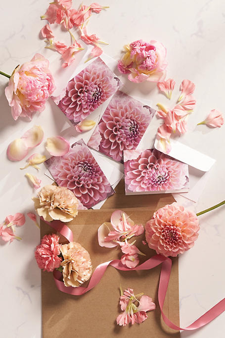 Colab Adene Nieuwoudt 4 Pack Floral Mini Gift Cards